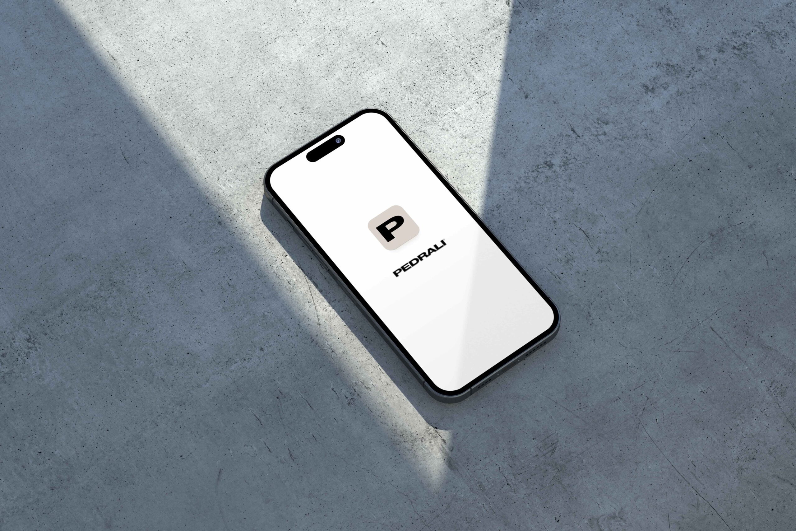 Schermata di un'app su smartphone con logo Pedrali, rappresenta l'accesso all'area riservata dedicata agli utenti